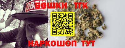 тгк Шебекино