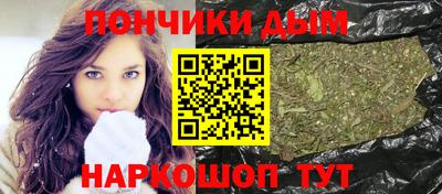 тгк Шебекино