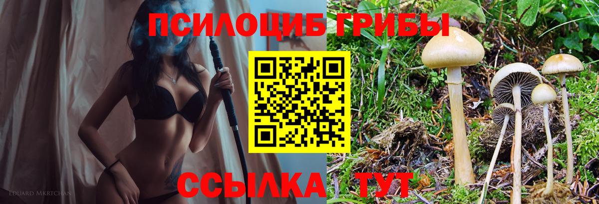 Ливны  Псилоцибиновые грибы мухоморы  Псилоцибиновые грибы мухоморы  Вход с VPN 