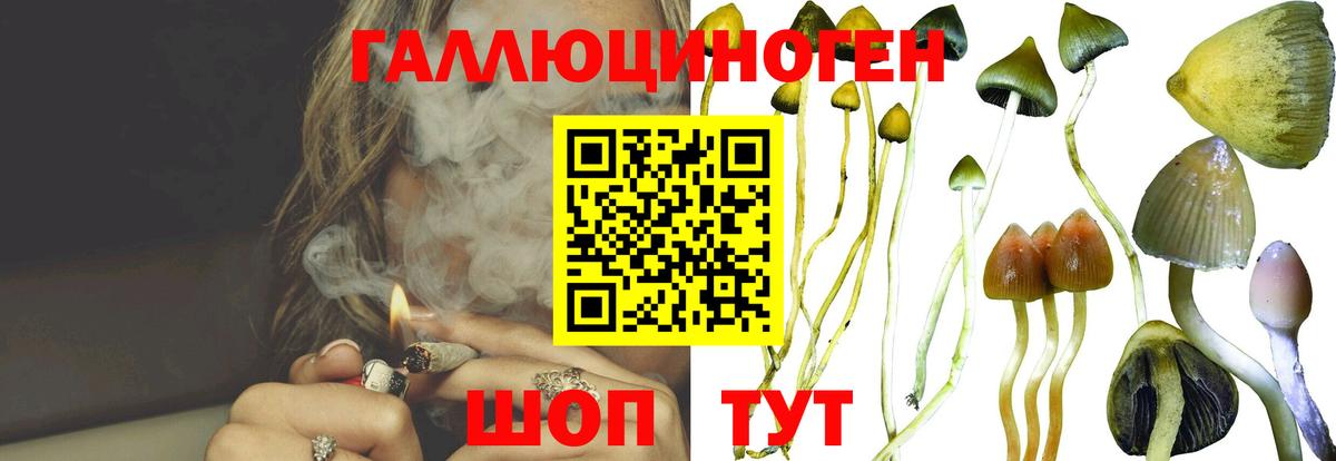 Псилоцибиновые грибы GOLDEN TEACHER Ливны